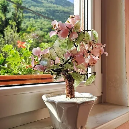 Apartma Floncna Apartment Bovec