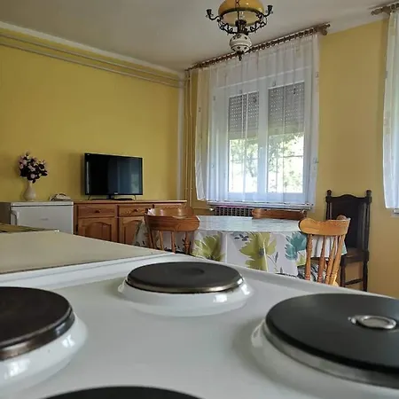 Apartma Floncna Apartment Bovec